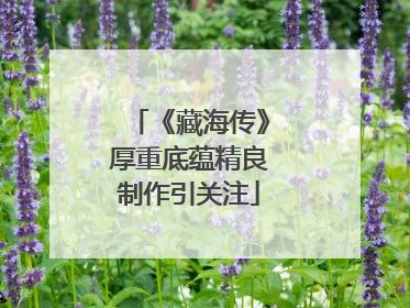 《藏海传》厚重底蕴精良制作引关注