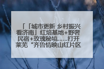 「城市更新 乡村振兴看济南」红培基地+野奢民宿+玫瑰秘境……打开莱芜“齐鲁情映山红片区”的破圈秘籍