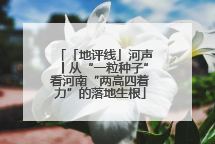 「地评线」河声丨从“一粒种子”看河南“两高四着力”的落地生根