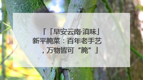 「早安云南·滇味」新平腌菜：百年老手艺，万物皆可“腌”