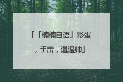 「楠楠自语」彩蛋，手雷，邋遢帅