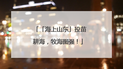 「海上山东」投苗耕海，牧海图强！
