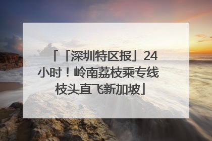「深圳特区报」24小时！岭南荔枝乘专线 枝头直飞新加坡