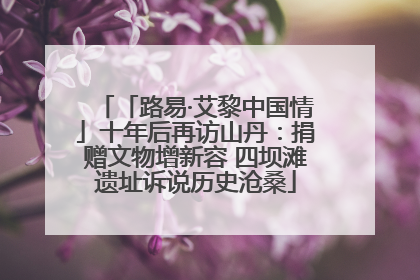 「路易·艾黎中国情」十年后再访山丹：捐赠文物增新容 四坝滩遗址诉说历史沧桑