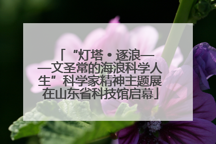 “灯塔 • 逐浪——文圣常的海浪科学人生”科学家精神主题展在山东省科技馆启幕