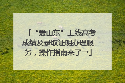 “爱山东”上线高考成绩及录取证明办理服务，操作指南来了→