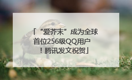 “爱芥末”成为全球首位256级QQ用户！腾讯发文祝贺