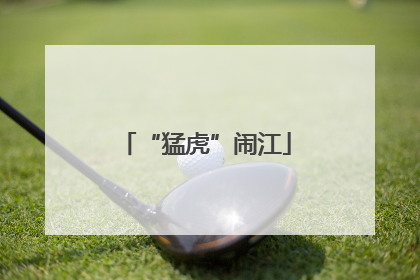 “猛虎”闹江