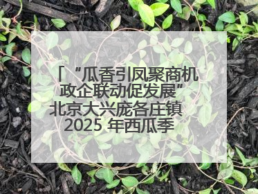 “瓜香引凤聚商机 政企联动促发展”北京大兴庞各庄镇 2025 年西瓜季政企联动产业推介活动圆满举行