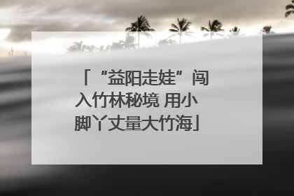 “益阳走娃”闯入竹林秘境 用小脚丫丈量大竹海