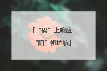 “码”上响应 “阳”帆护航