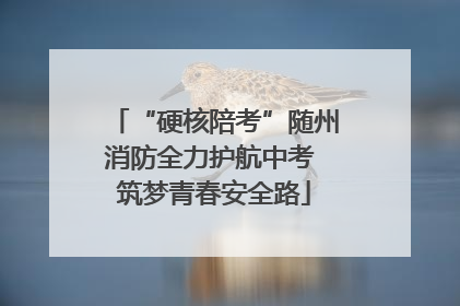 “硬核陪考”随州消防全力护航中考 筑梦青春安全路