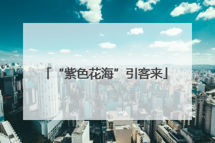“紫色花海”引客来