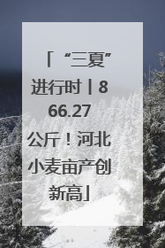 “三夏”进行时丨866.27公斤！河北小麦亩产创新高