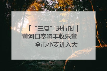 “三夏”进行时｜黄河口奏响丰收乐章——全市小麦进入大面积收获高峰期