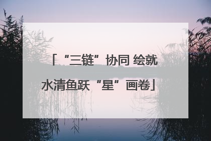 “三链”协同 绘就水清鱼跃“星”画卷