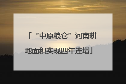 “中原粮仓”河南耕地面积实现四年连增