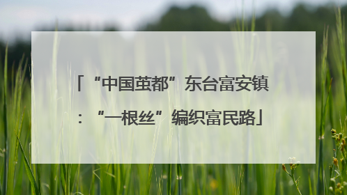“中国茧都”东台富安镇：“一根丝”编织富民路