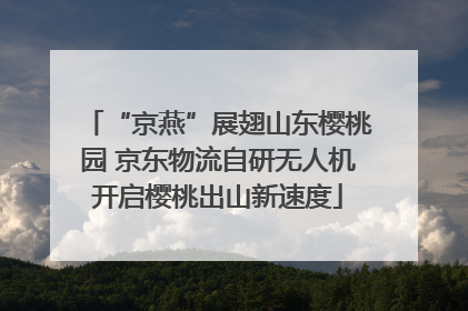 “京燕”展翅山东樱桃园 京东物流自研无人机开启樱桃出山新速度