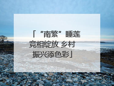 “南繁”睡莲竞相绽放 乡村振兴添色彩