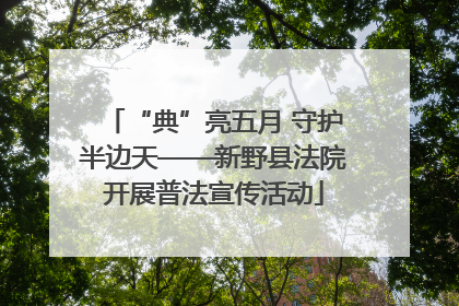 “典”亮五月 守护半边天——新野县法院开展普法宣传活动
