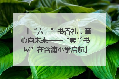 “六一”书香礼，童心向未来——“素兰书屋”在含浦小学启航