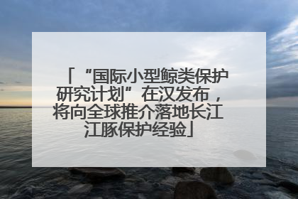 “国际小型鲸类保护研究计划”在汉发布，将向全球推介落地长江江豚保护经验