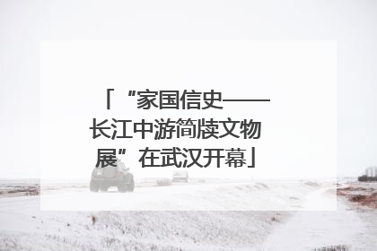 “家国信史——长江中游简牍文物展”在武汉开幕
