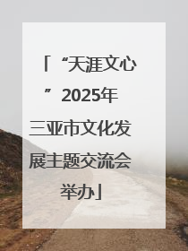 “天涯文心”2025年三亚市文化发展主题交流会举办