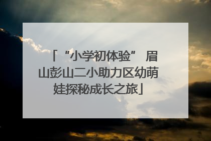 “小学初体验” 眉山彭山二小助力区幼萌娃探秘成长之旅