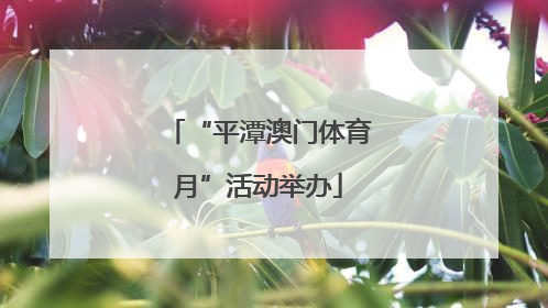 “平潭澳门体育月”活动举办