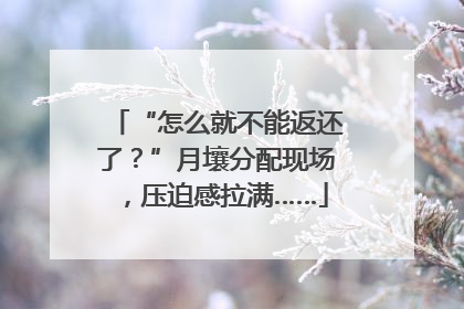 “怎么就不能返还了？”月壤分配现场，压迫感拉满……