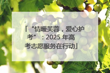 “情暖芙蓉，爱心护考”：2025 年高考志愿服务在行动