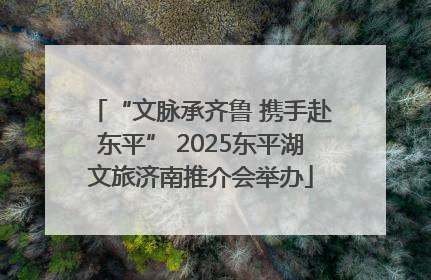 “文脉承齐鲁 携手赴东平” 2025东平湖文旅济南推介会举办