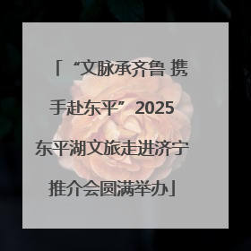 “文脉承齐鲁 携手赴东平”2025东平湖文旅走进济宁推介会圆满举办