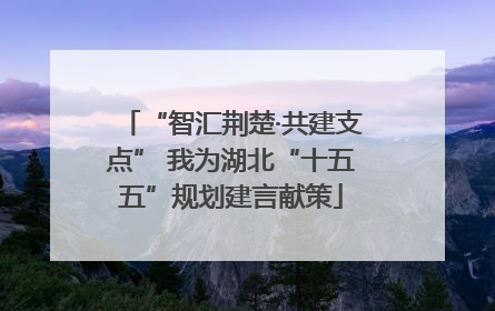 “智汇荆楚·共建支点” 我为湖北“十五五”规划建言献策