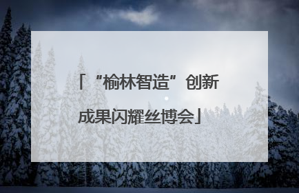 “榆林智造”创新成果闪耀丝博会