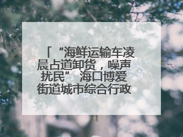 “海鲜运输车凌晨占道卸货，噪声扰民” 海口博爱街道城市综合行政执法中队：将联合交警加强长堤路一带巡逻