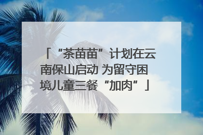 “茶苗苗”计划在云南保山启动 为留守困境儿童三餐“加肉”