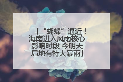 “蝴蝶”逼近！海南进入风雨核心影响时段 今明天局地有特大暴雨