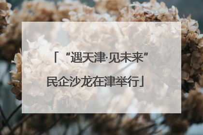 “遇天津·见未来”民企沙龙在津举行