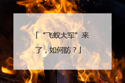 “飞蚁大军”来了，如何防？