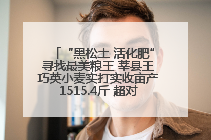 “黑松土 活化肥”寻找最美粮王 莘县王巧英小麦实打实收亩产1515.4斤 超对照田144斤！