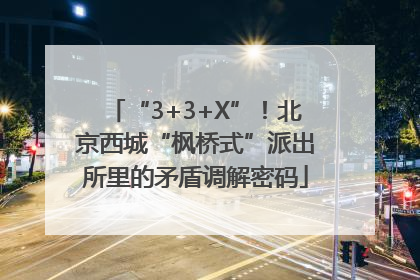 “3+3+X”！北京西城“枫桥式”派出所里的矛盾调解密码