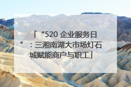 “520 企业服务日”：三湘南湖大市场灯石城赋能商户与职工