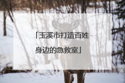 玉溪市打造百姓身边的急救室