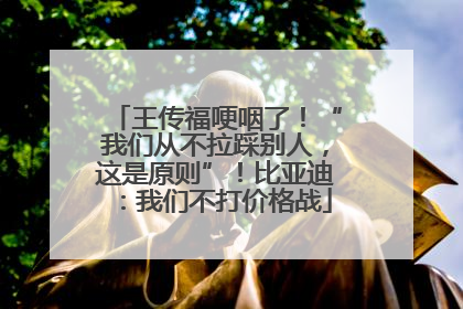 王传福哽咽了！“我们从不拉踩别人，这是原则”！比亚迪：我们不打价格战