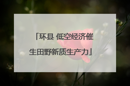 环县 低空经济催生田野新质生产力