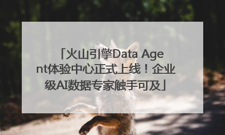 火山引擎Data Agent体验中心正式上线！企业级AI数据专家触手可及