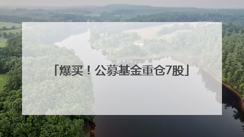 爆买！公募基金重仓7股